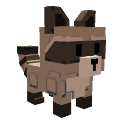 Raccoon